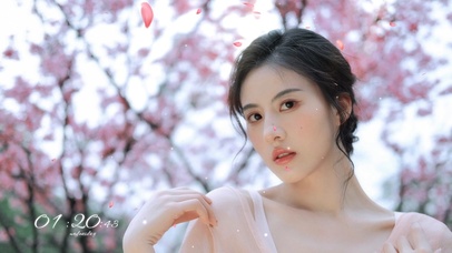 樱花树下的美女
