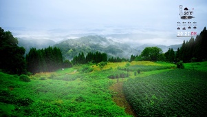 青山烟雨