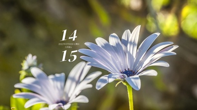 4k高清简约小清新系列