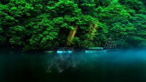 唯美湖面绿色
