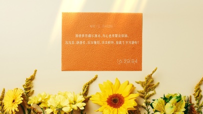 简约清新花草桌面壁纸