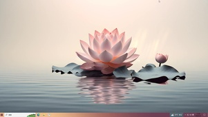 阳光唯美粉色樱花