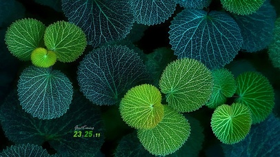 极简水墨色~好运莲莲