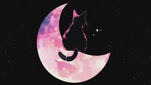 快乐星猫