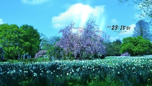 4k 治愈夏日公园花海