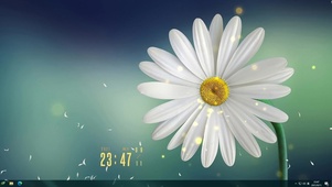 简约雏菊主题（含音乐频谱）