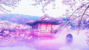 桃花小岛