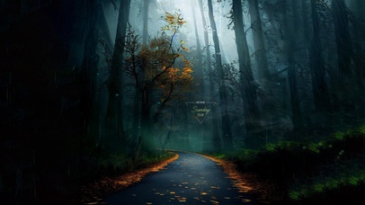 4k 治愈护眼秋林雨天小路