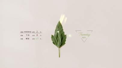 极简干净护眼清新壁纸