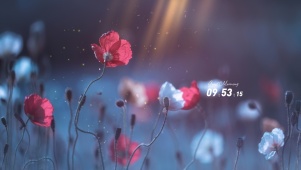 春天鲜花