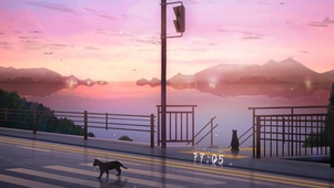 猫街
