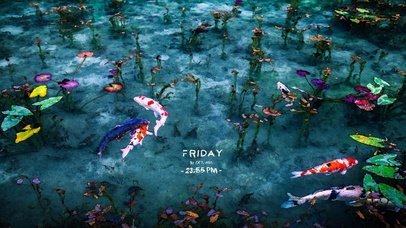 好运锦鲤（4K带时间）