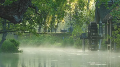 治愈系鸟语，溪流，水车