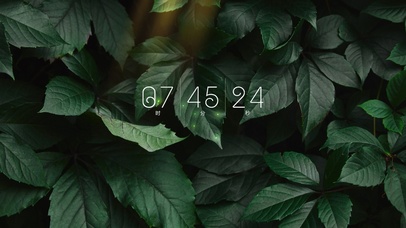 4k高级绿植电脑壁纸