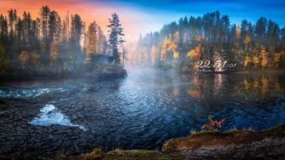 清晨薄雾湖泊森林