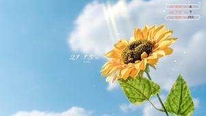 清新夏日向日葵