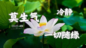一切随缘