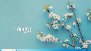 护眼小清新桌面主题