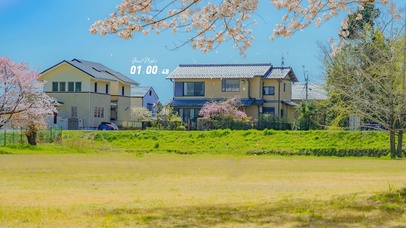 4K唯美治愈日系乡村樱花街道