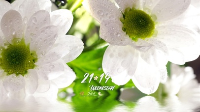 唯美湖面治愈白花