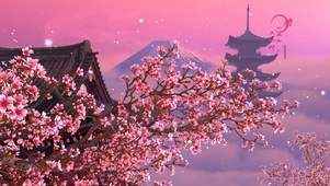 雪中梅