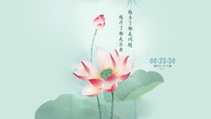 夏荷 治愈语录
