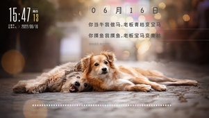 可爱俩狗子