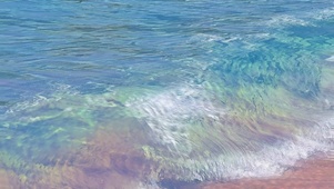斑斓海  壁纸