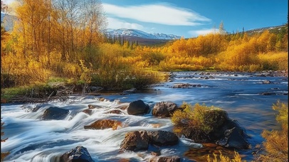 4K秋天森林风景