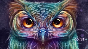 4K流光幻彩猫头鹰