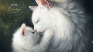 温馨猫咪
