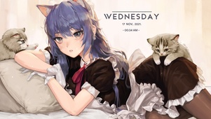 猫耳娘