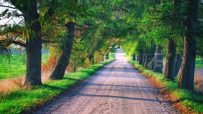 唯美治愈阳光小路