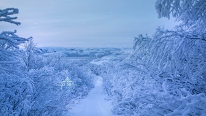 暴风雪