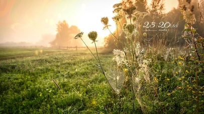 4k 治愈唯美夕阳草地