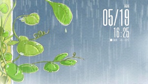 爬山虎  雨天