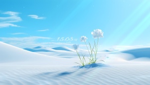 沙漠之花
