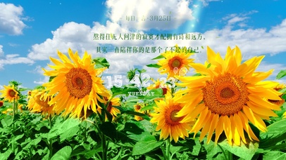 简约清新系向日葵壁纸