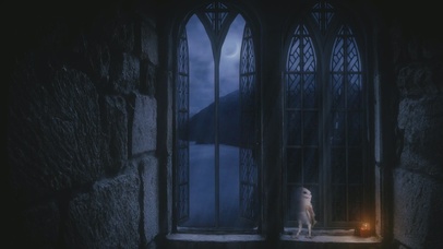 新月之夜 格兰芬多塔窗边