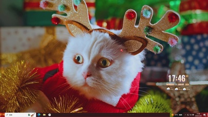 喜庆喵星人—【主题桌面】