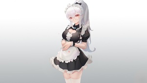 美丽的女仆