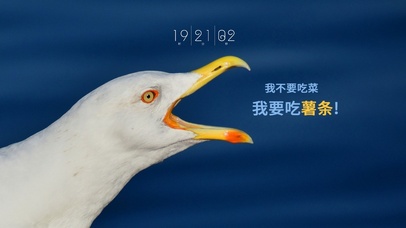 我不要吃菜我要吃薯条