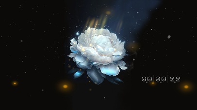 4K纯白色莲花（唯美 治愈）