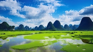 唯美草原湿地