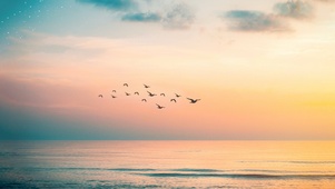 夕阳(双端）