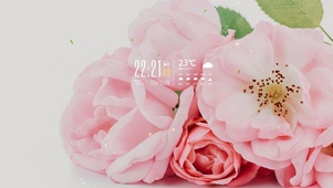 4k清新花草桌面