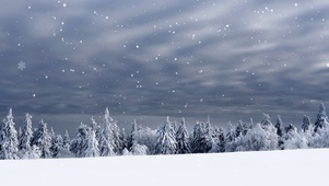 雪