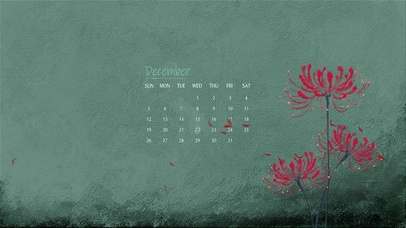 和风中的彼岸花