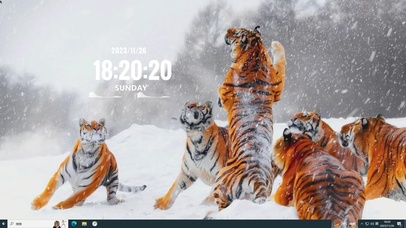 雪中虎主题