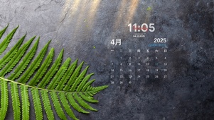 简约系绿植壁纸